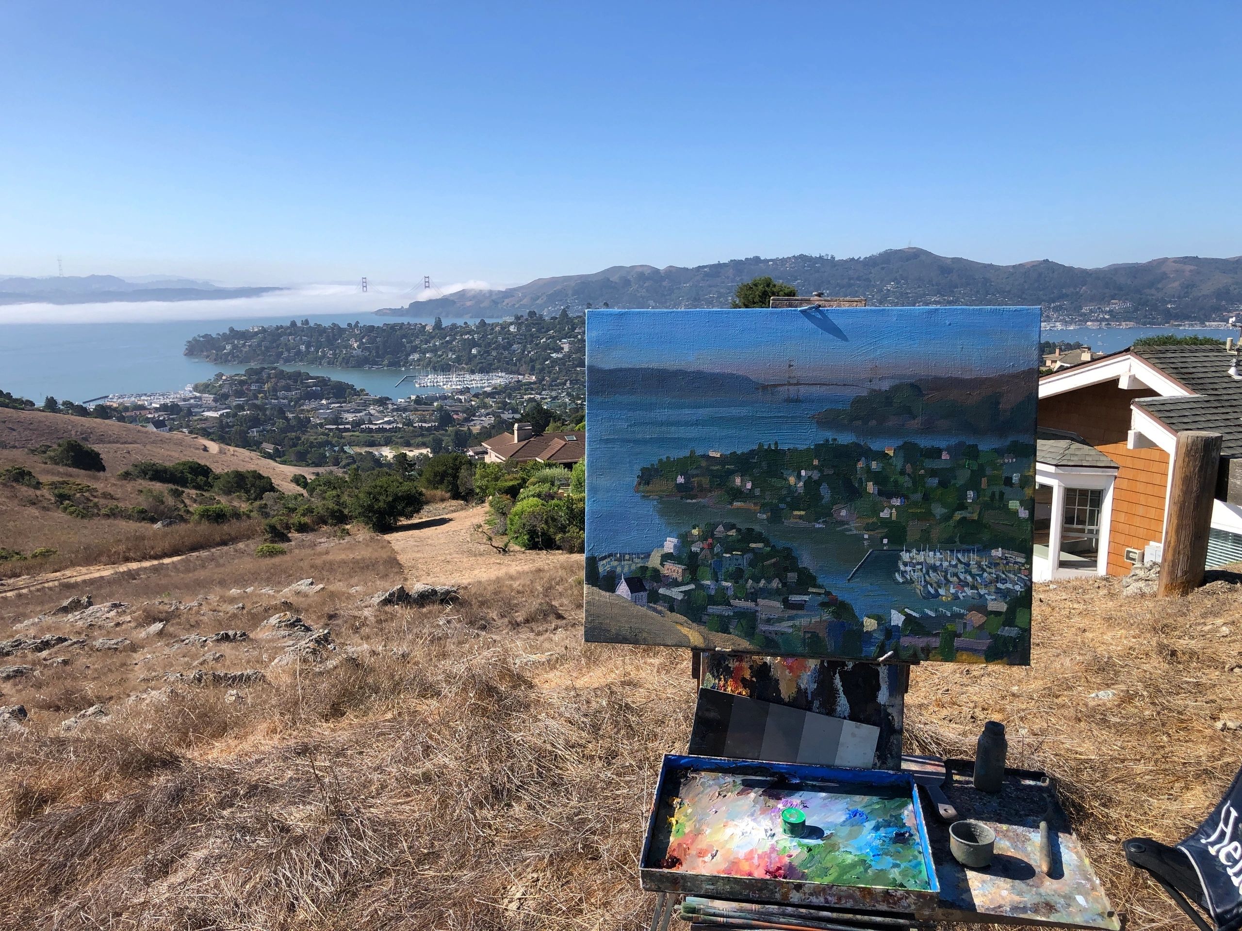 Top of Tiburon, oil on canvas, 22 by 28 inches